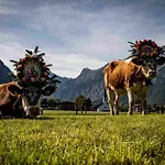 Alpenland Am Achensee